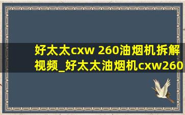 好太太cxw 260油烟机拆解视频_好太太油烟机cxw260清洗拆卸视频